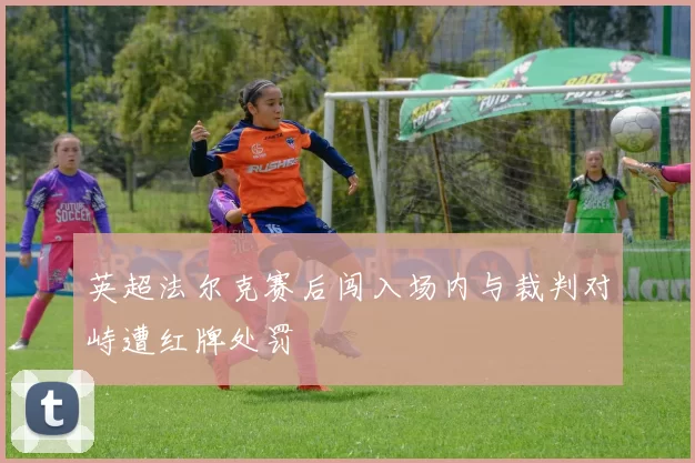 英超法尔克赛后闯入场内与裁判对峙遭红牌处罚
